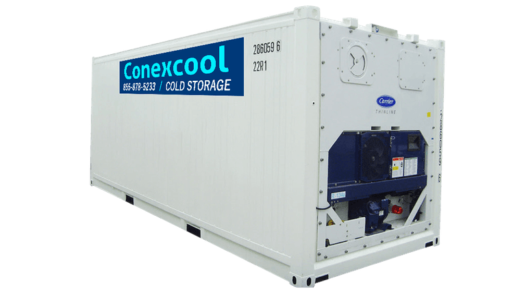20ft Refrigerated Container