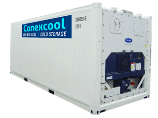 20ft onsite cold storage refrigerated container for rent 