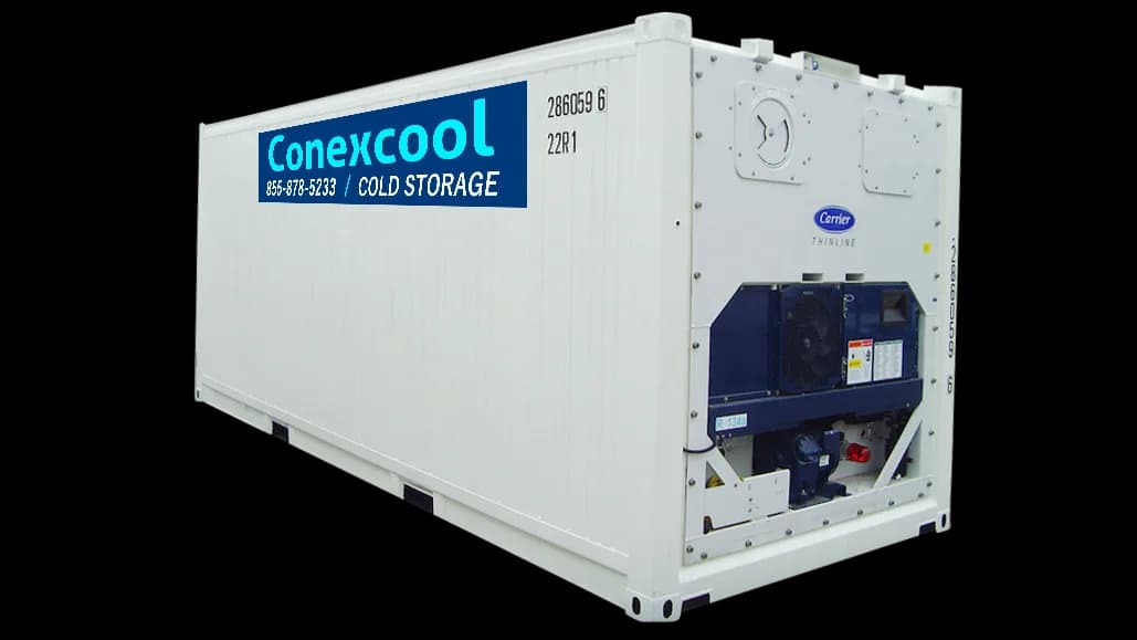 20ft onsite cold storage refrigerated container for rent 