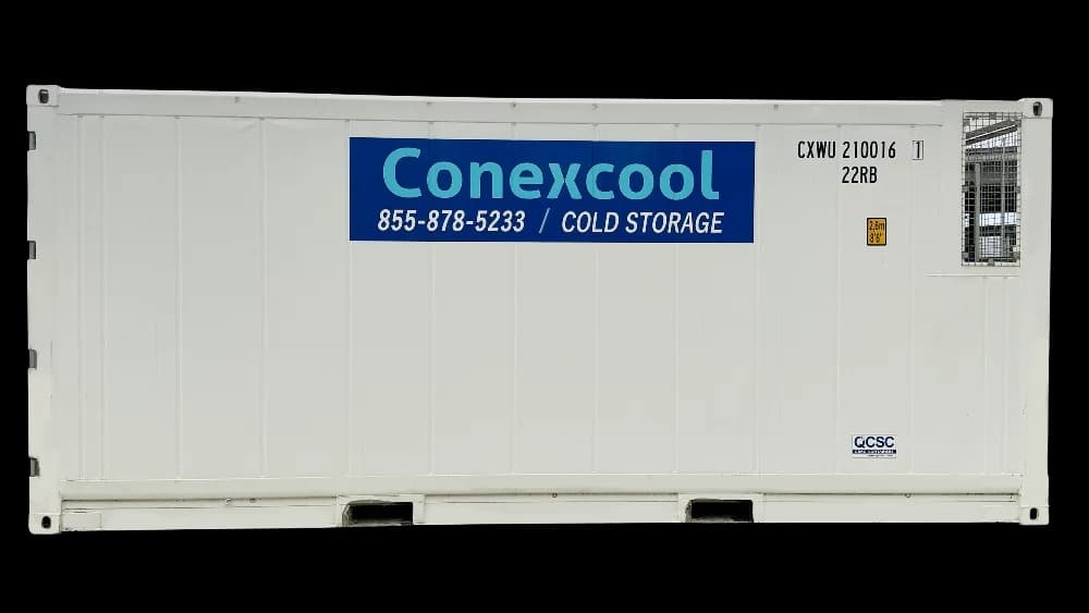 20ft single phase 220v cold storage refrigerated container Bohn Conexcool
