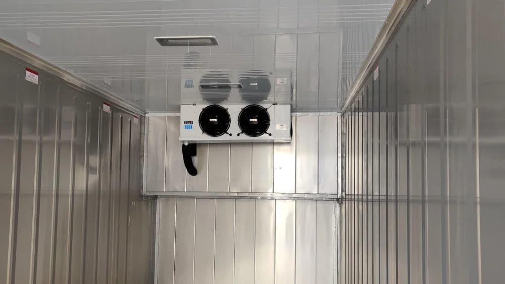 20ft single phase 220v cold storage refrigerated container Bohn Conexcool