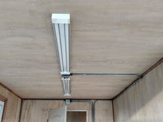 Plywood paneling for shipping container for sale