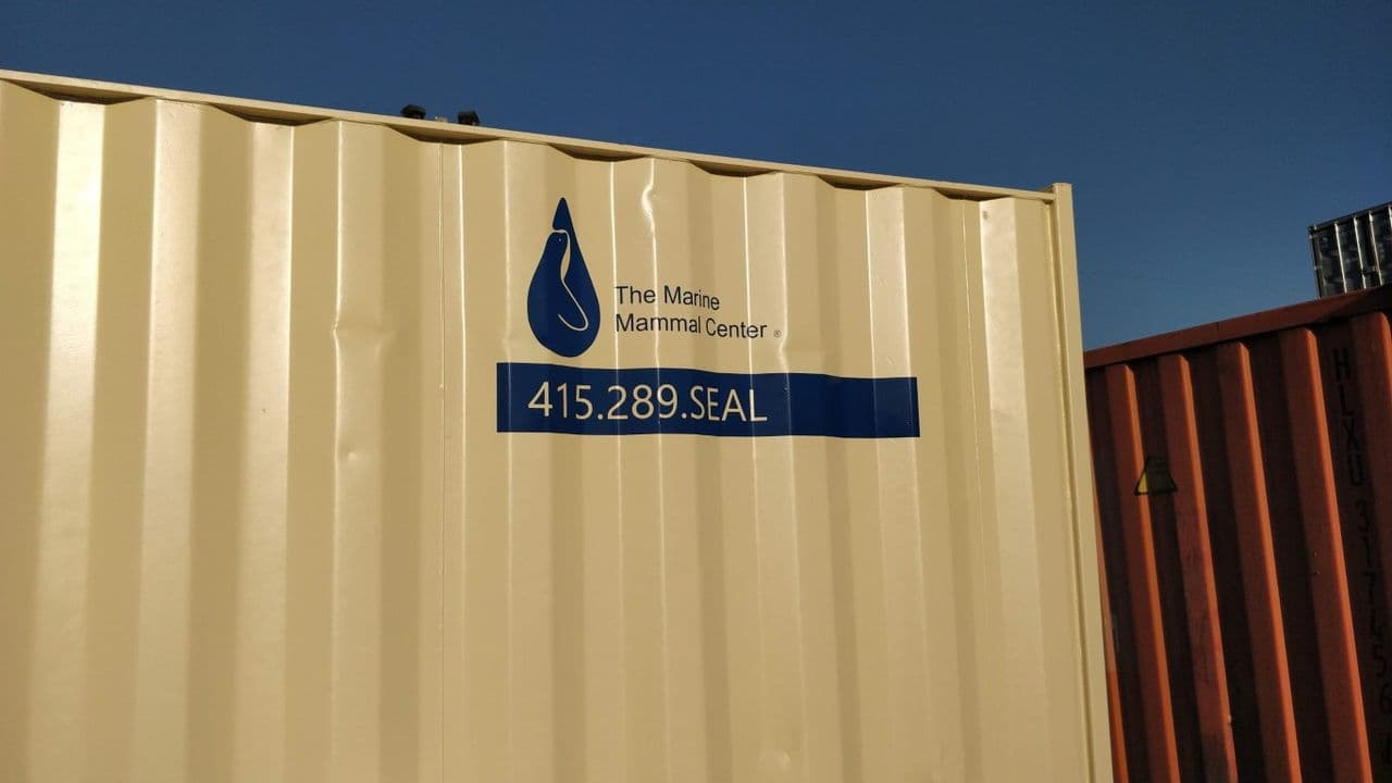 Vinyl logo on 10ft shipping containers for sale