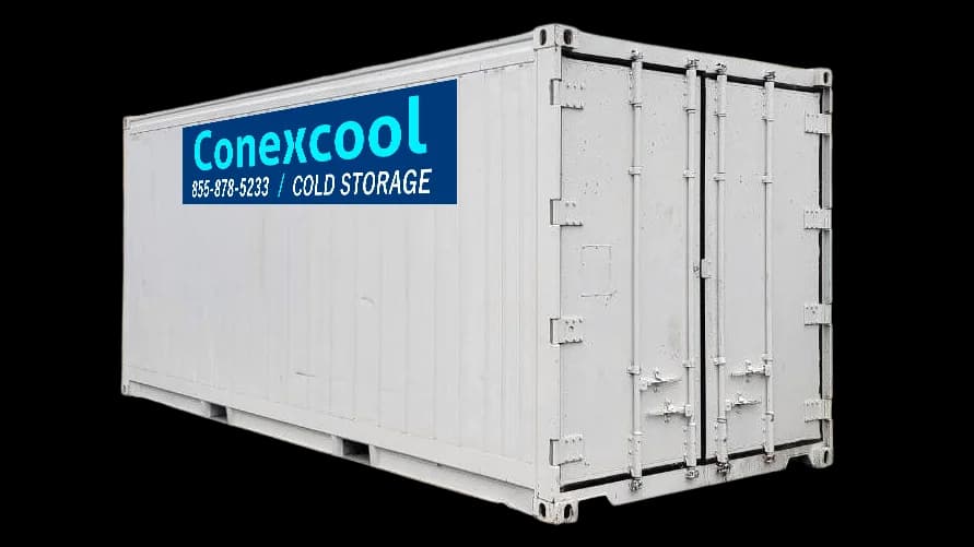 20ft Refrigerated Container