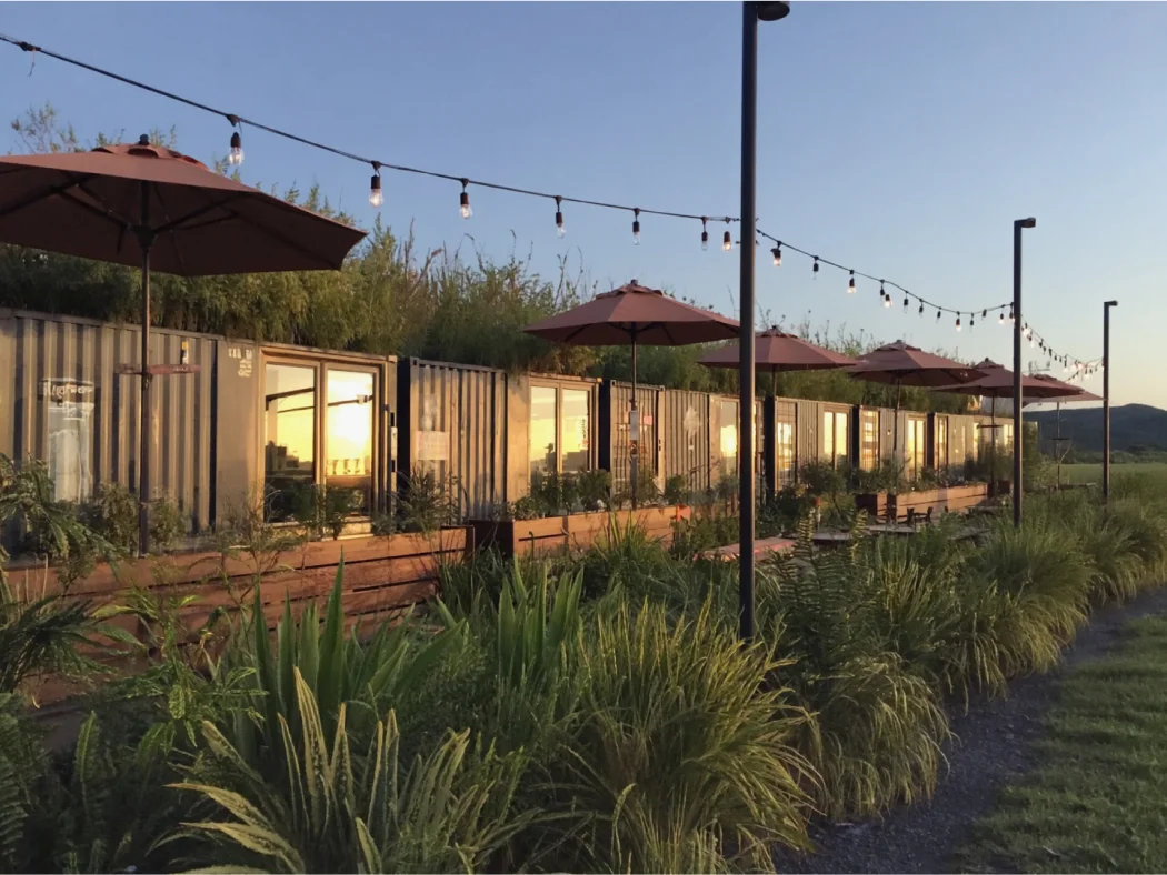 Conex News – Weekly Update: August 1 – August 8, 2025