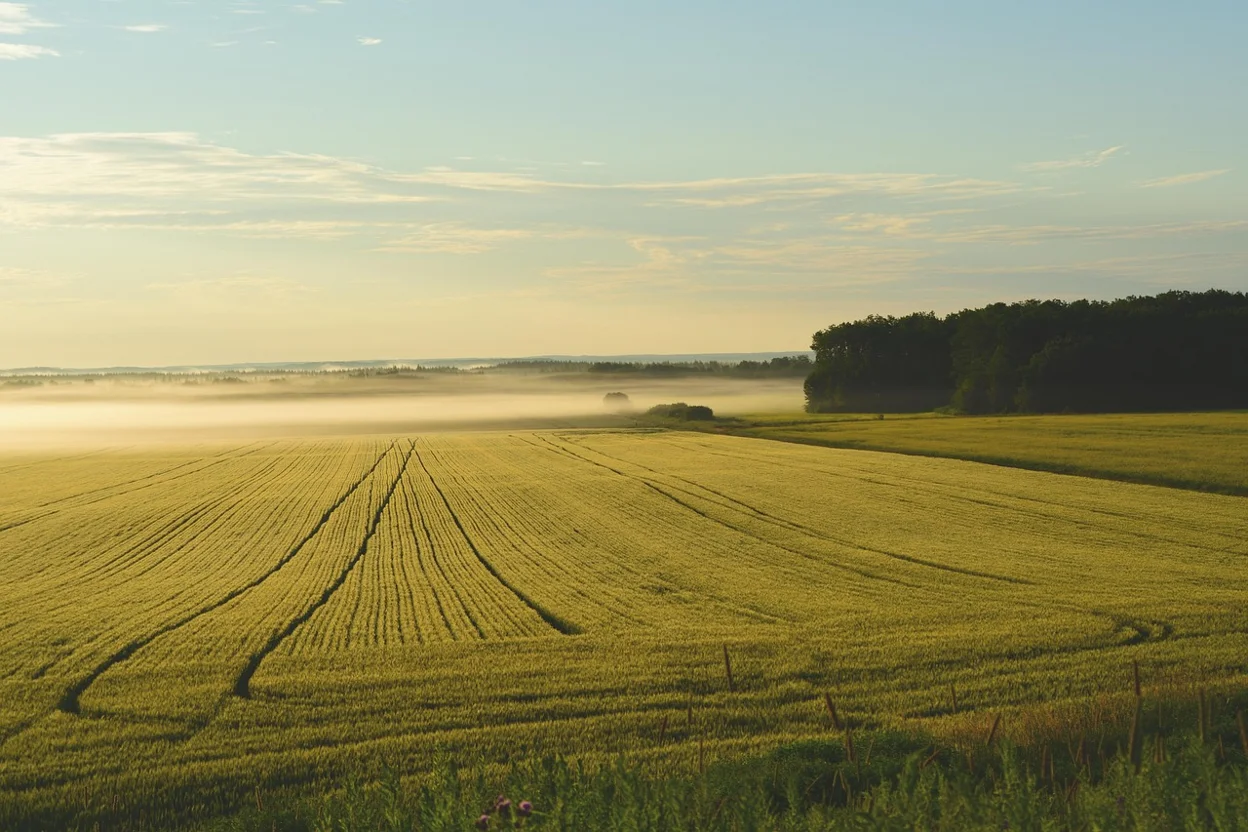 Place A Shipping Container On Agricultural Land