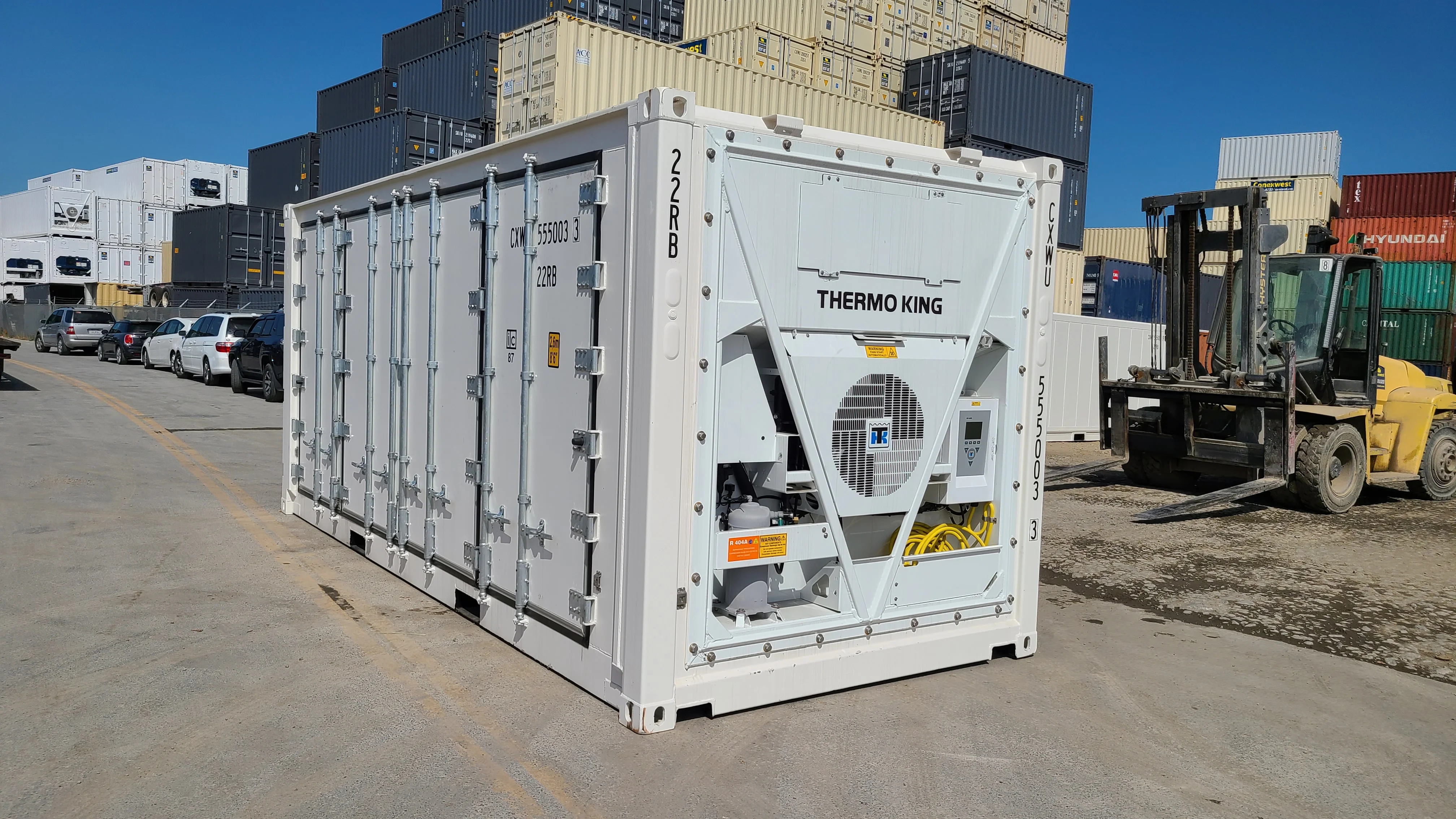 Reefer vs. Freezer Containers: Choosing the Right Cold Storage for Your Business